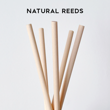 Load image into Gallery viewer, Matt Sage Green Glass Diffuser Bottle And Reeds